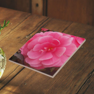 Roze Knolbegonia Bloem Tegeltje