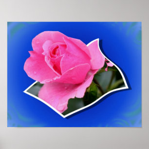 Roze Knop Bloem Buiten Kader Kunst Poster