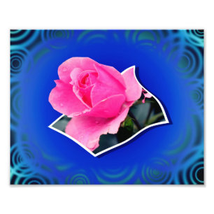 Roze knop bloem uit de grenzen kunst 8x10 foto afdruk