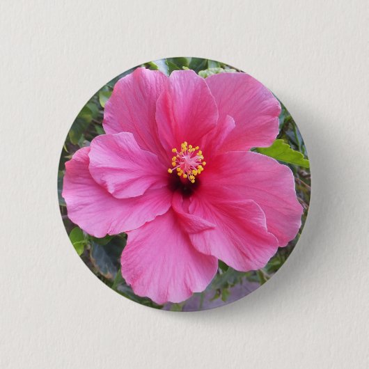 Roze knop Hibiscus Ronde Button 5,7 Cm (Voorkant)