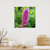 roze knoppen poster (Keuken)