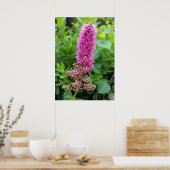 roze knoppen poster (Keuken)