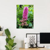 roze knoppen poster (Thuiskantoor)