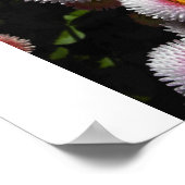 roze kogels poster (Hoek)