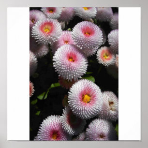 roze kogels poster