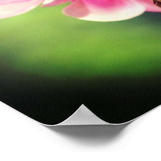 Roze Kolomventiel Sluiten Poster (Hoek)