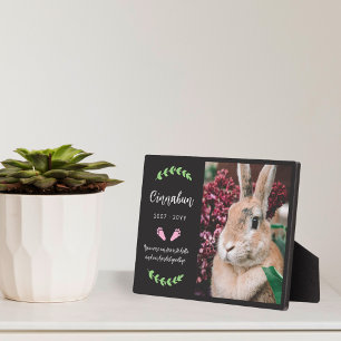 Roze Konijn Pootjes Groene Beplanting Foto Konijn  Fotoplaat