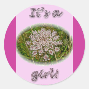 Roze koningin Anne's kant is een meisje nieuwe bab Ronde Sticker