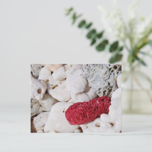 Roze koraal briefkaart (Staand voorkant)