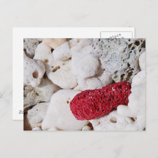 Roze koraal briefkaart (Voorkant / Achterkant)