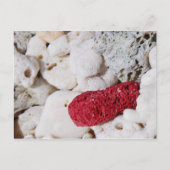 Roze koraal briefkaart (Voorkant)