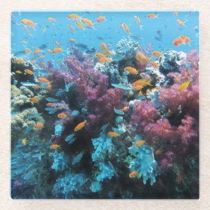 Roze koraal glazen onderzetter