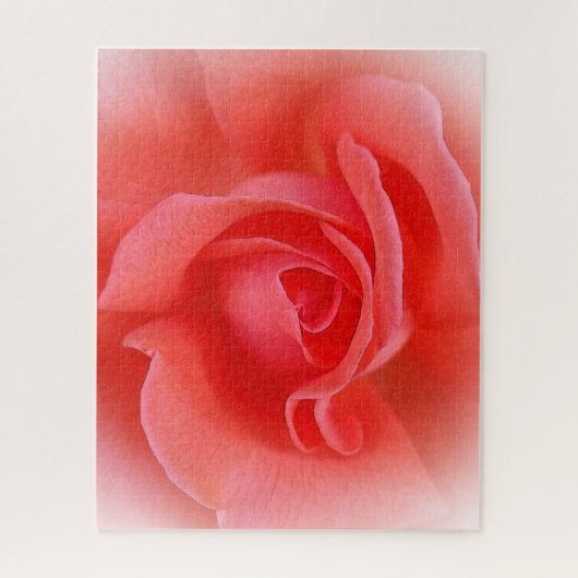 roze koraal roos legpuzzel (Verticaal)
