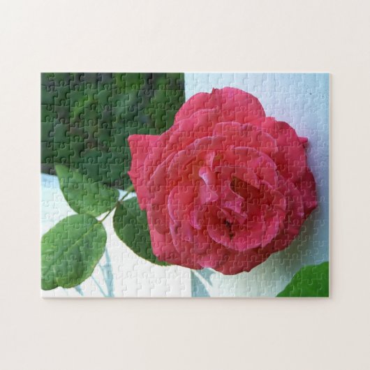 Roze koraal roos legpuzzel (Horizontaal)
