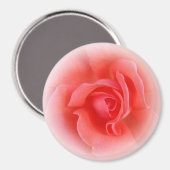 roze koraal roos magneet (Voorkant / Achterkant)