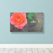 Roze koraal Roos Natuur Fotografie Bloed Plant Canvas Afdruk (Insitu (Houten vloer))