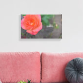 Roze koraal Roos Natuur Fotografie Bloed Plant Canvas Afdruk (Insitu (Woonkamer))