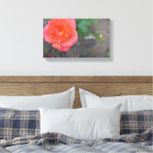 Roze koraal Roos Natuur Fotografie Bloed Plant Canvas Afdruk (Insitu (Slaapkamer))