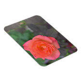 Roze koraal Roos Natuur Fotografie Bloed Plant Magneet (Rechterzijde)