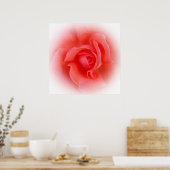 roze koraal roos poster (Keuken)