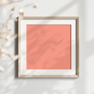 Roze koraalvaste kleur poster