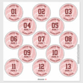 roze korset van 13 volleybalfeesten sticker (Vel)