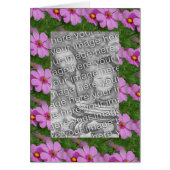  roze kosmos - aanloopontwerp foto (Voorkant)