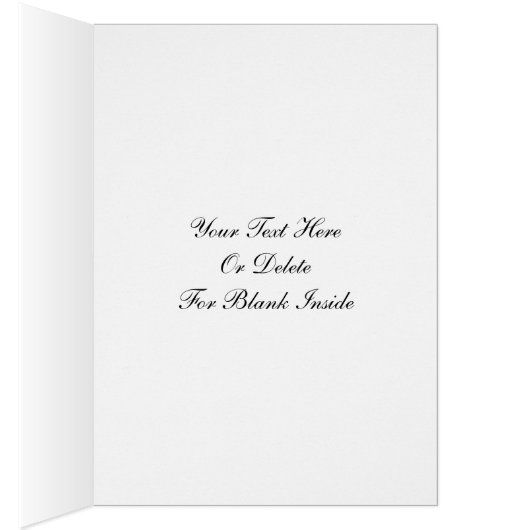  roze kosmos - aanloopontwerp foto (Binnen (Rechts))