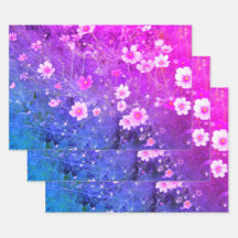 Roze Kosmos bipinnatus Bloemen in volle bloei