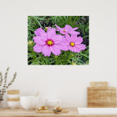 Roze kosmos Bloed Poster (Keuken)
