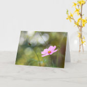 Roze kosmos bloem late namiddag Bokeh Kaart (Gele Bloem)
