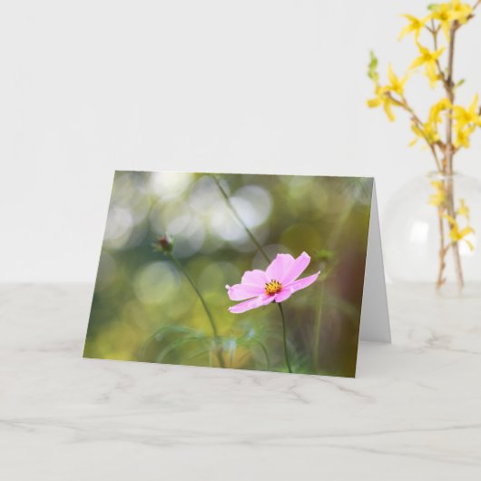 Roze kosmos bloem late namiddag Bokeh Kaart (Gele Bloem)