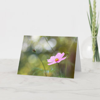 Roze kosmos bloem late namiddag Bokeh Kaart