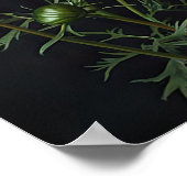 Roze Kosmos Bloemen Art Print Poster (Hoek)