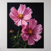 Roze Kosmos Bloemen Art Print Poster (Voorkant)