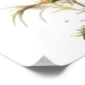 Roze Kosmos Bloemen Art Print Poster (Hoek)