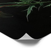 Roze Kosmos Bloemen Art Print Poster (Hoek)