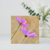 Roze Kosmos Bloemen Bloemen Art Flat Note Kaart (Staand voorkant)