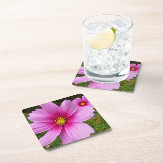 Roze kosmos bloemen kartonnen onderzetters (Insitu)