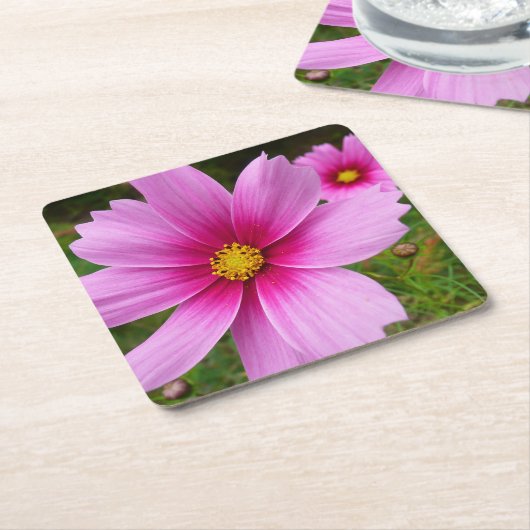 Roze kosmos bloemen kartonnen onderzetters (Schuin)