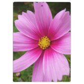 Roze kosmos bloemen klembord (Achterkant)