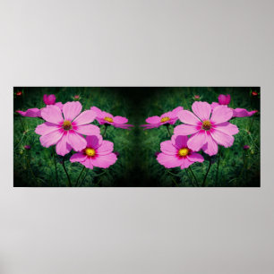 Roze Kosmos Bloemen Spiegel Abstract Poster