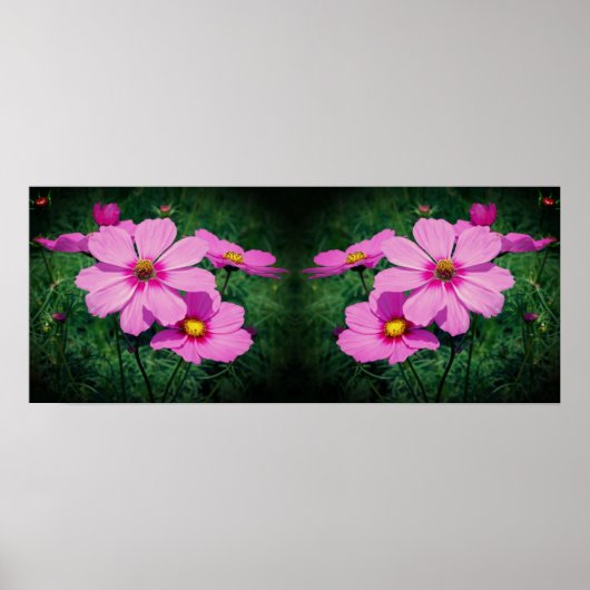 Roze Kosmos Bloemen Spiegel Abstract Poster (Voorkant)