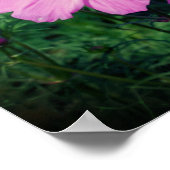 Roze Kosmos Bloemen Spiegel Abstract Poster (Hoek)