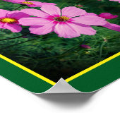 Roze Kosmos Bloemen Spiegel Abstract Poster (Hoek)