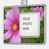 Roze kosmos bloemen verzilverd omlijst ornament (Links)