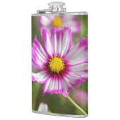 Roze kosmos, Cottage garden Rosalinde Heupfles (Links)