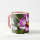 Roze kosmos, Cottage garden Rosalinde Mok (Voorkant links)