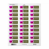 Roze Kosmos Floral Adresetiketten Etiket (Full Sheet)