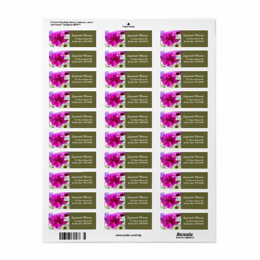 Roze Kosmos Floral Adresetiketten Etiket (Full Sheet)